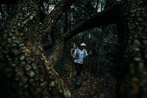 BIB: 
                            <button type="button" onclick="openModal(25689802)" class="btn btn-primary btn-sm float-right btn-popup" data-toggle="modal" data-target=".modal-high-quality">
                        <i class="fas fa-shopping-cart"></i> Add to Cart
                    </button>
                                            <button type="button" onclick="isThisMe(25689802, true)" class="btn btn-success btn-sm float-right btn-popup btn-isme hidden" data-toggle="tooltip" data-placement="bottom" title="นี่คือรูปของคุณใช่ไหม คลิกที่นี่เพื่อเอาเข้าอัลบั้ม">
                        <i class="fas fa-plus"></i> Add to album
                    </button>
                    <button type="button" onclick="isThisMe(25689802, false)" class="btn btn-warning btn-sm float-right btn-popup btn-isnotme hidden">
                        <i class="fas fa-ban"></i> Remove from album
                    </button>